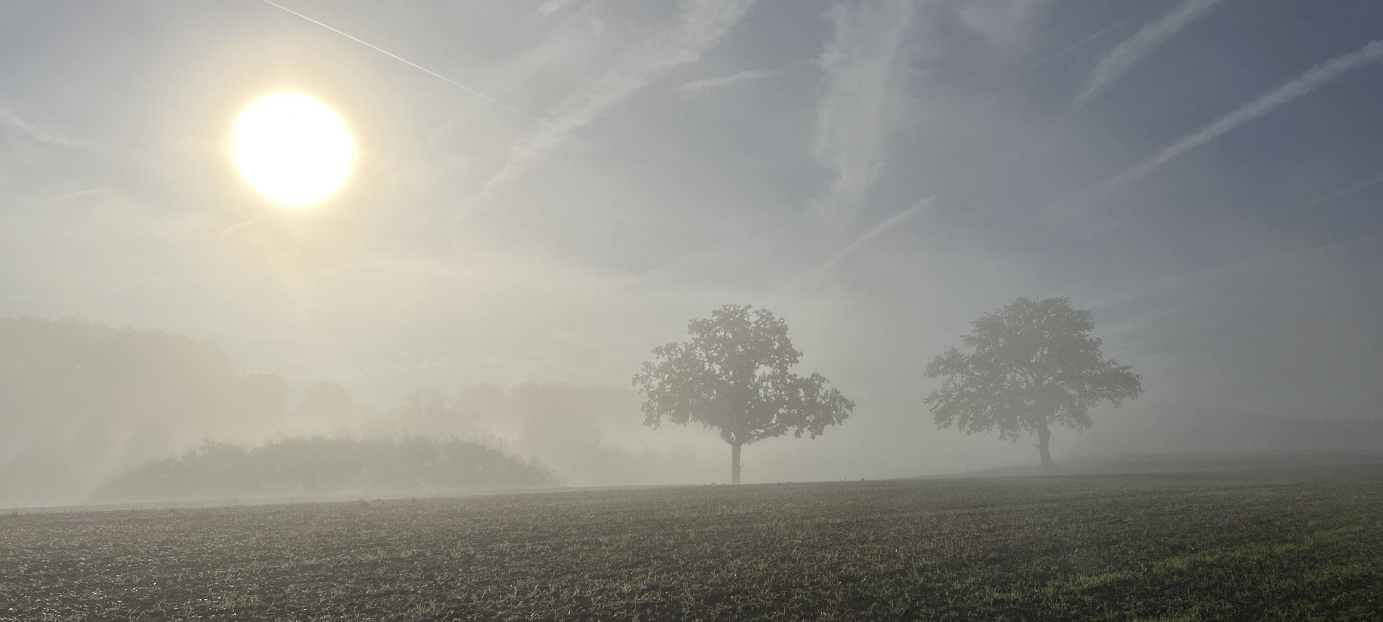 Umgebung Großenhausen im Morgennebel